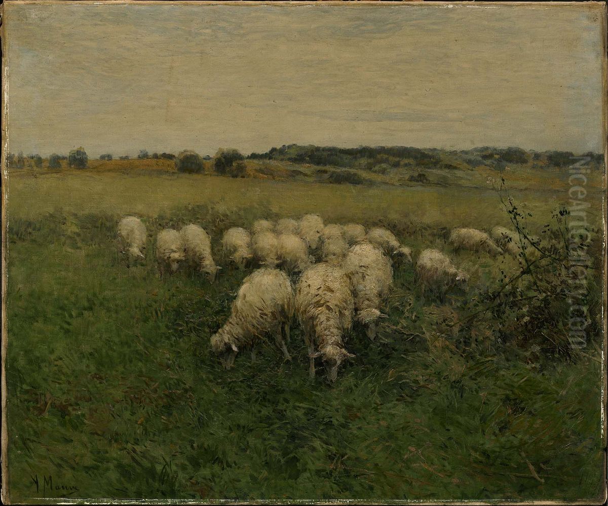 Sheep Grazing in an Open Field Oil Painting by Anton Mauve