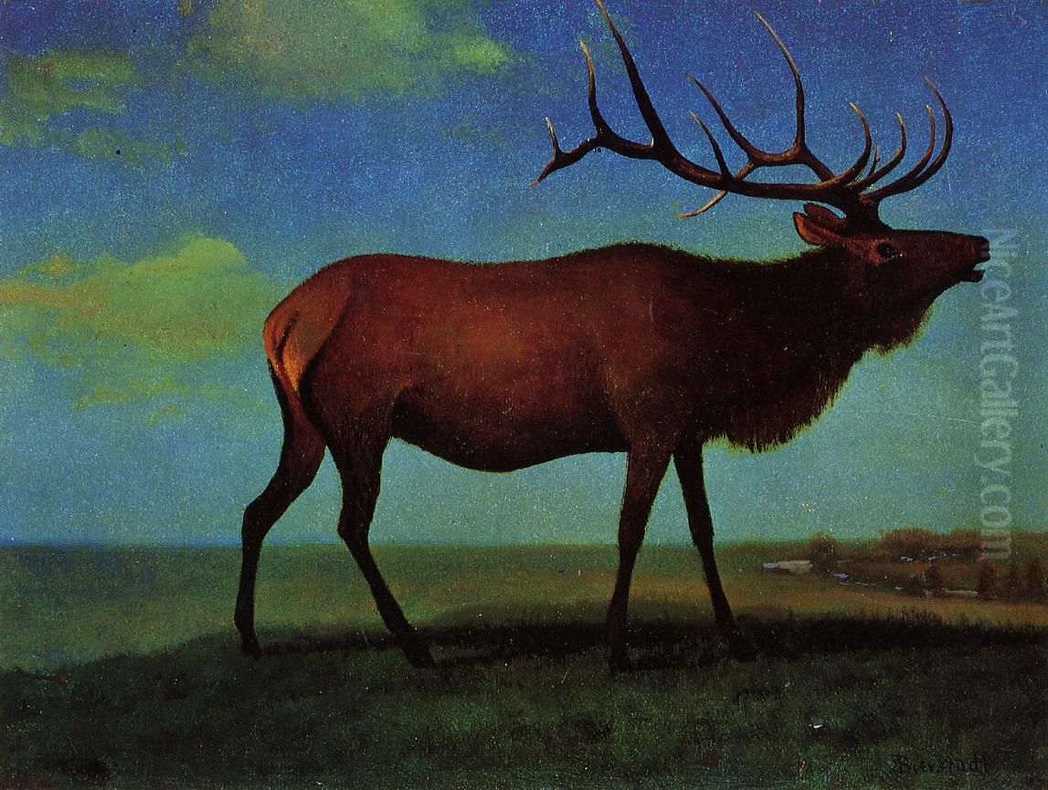 Bull Elk Oil Painting by Albert Bierstadt