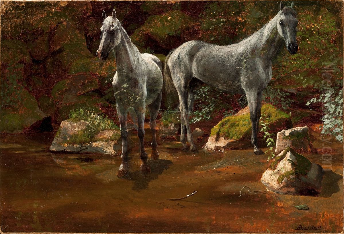Study of Wild Horses Oil Painting by Albert Bierstadt