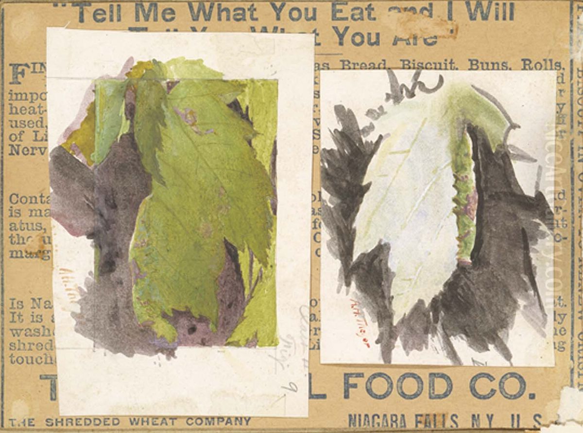 Heterocampa Biundata, Walker, study for book Concealing Coloration in the Animal Kingdom Oil Painting by Abbott Handerson Thayer