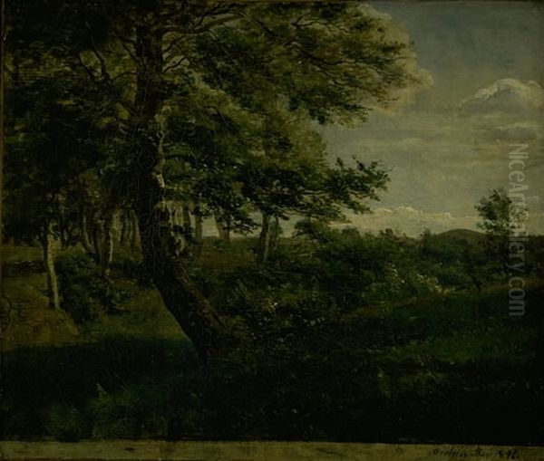 Orsbjerg Forest at Aarup, Funen Oil Painting by Dankvart Dreyer