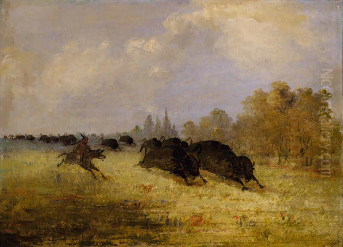 Caddo Indians Chasing Buffalo, Cross Timbers, Texas Oil Painting by George Catlin
