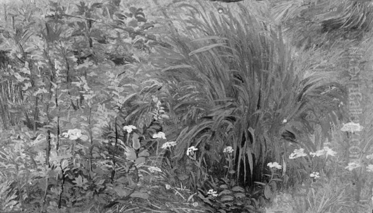 Wild Plants and Grass Oil Painting by Lorenz Frolich