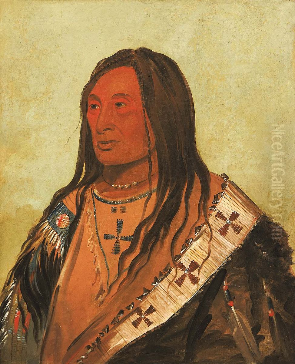 Tah-zee-keh-da-cha, Torn Belly, a Distinguished Brave Oil Painting by George Catlin