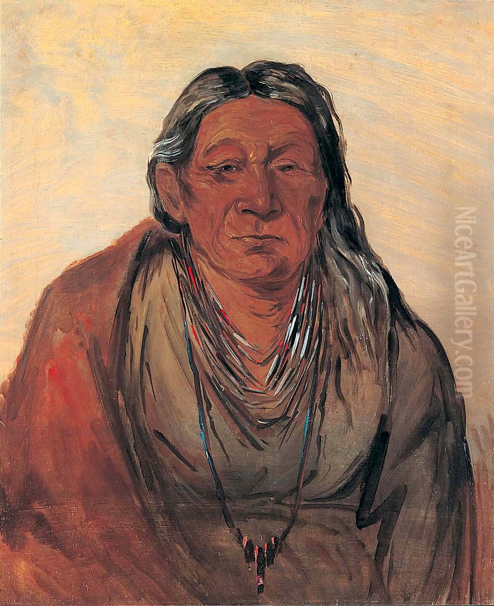 Wah-pe-seh-see, Mother of the Chief Oil Painting by George Catlin