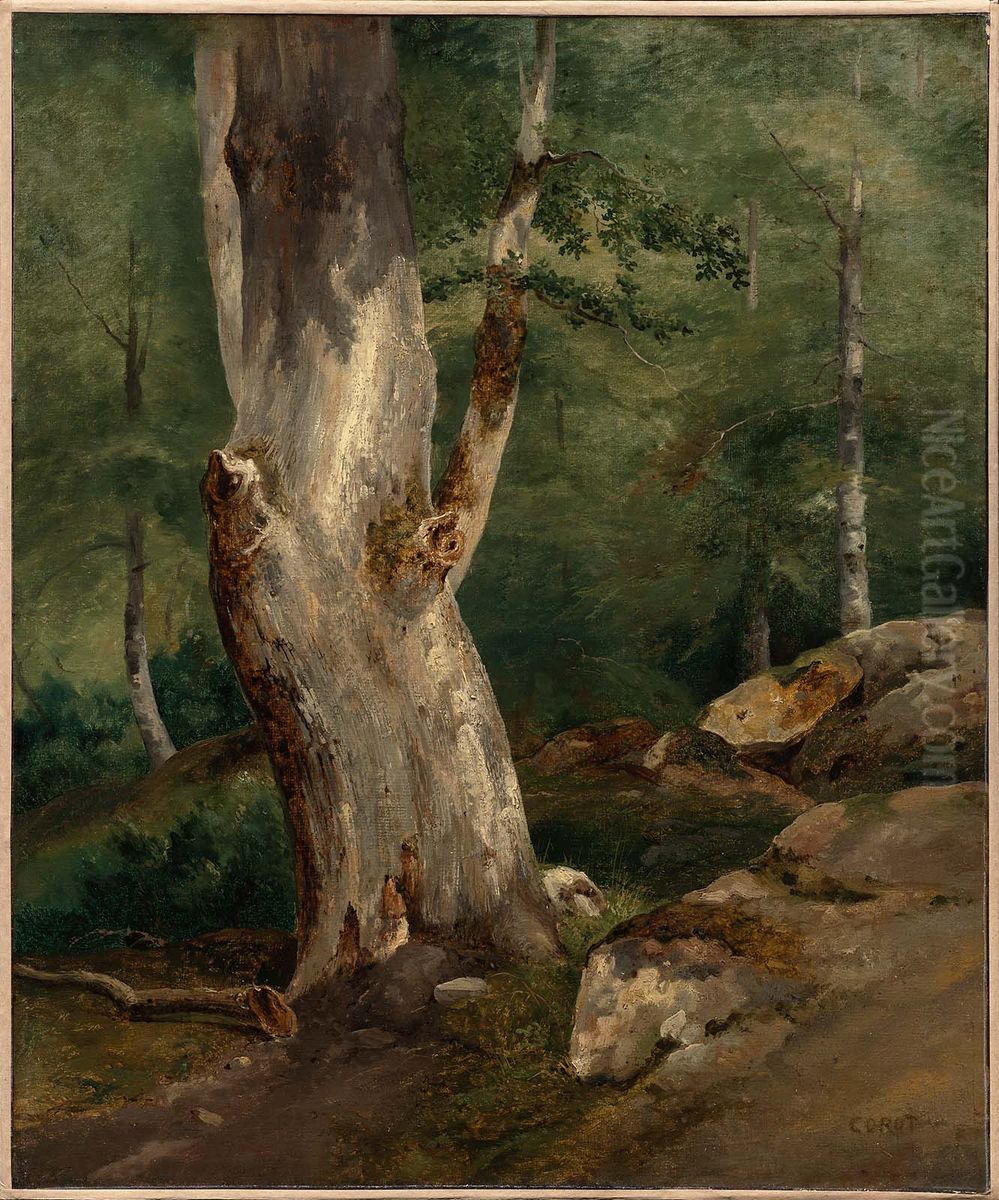Old Beech Tree Oil Painting by Jean-Baptiste Camille Corot