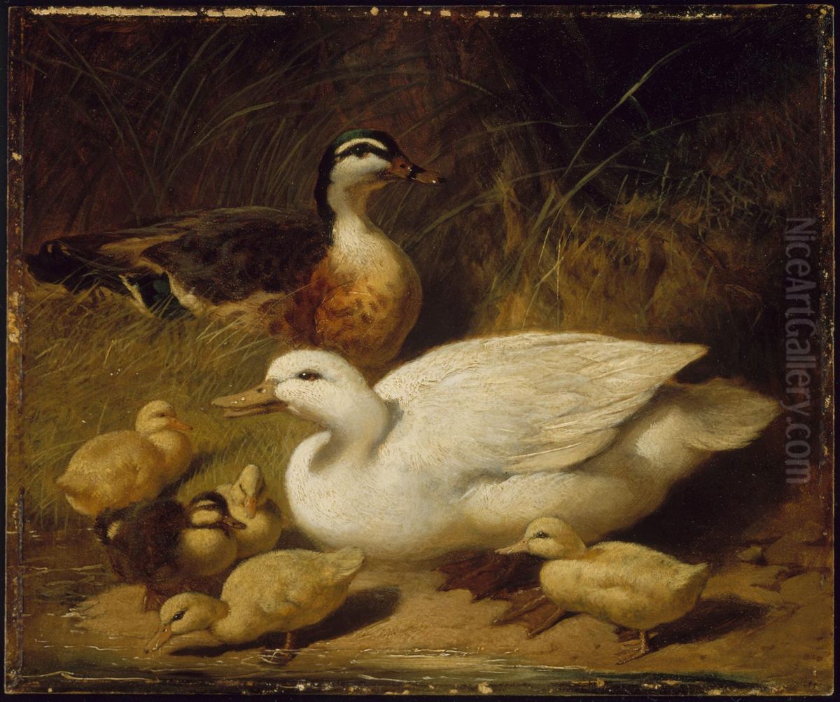 Ducks and Ducklings Oil Painting by John Frederick Herring, Sr.