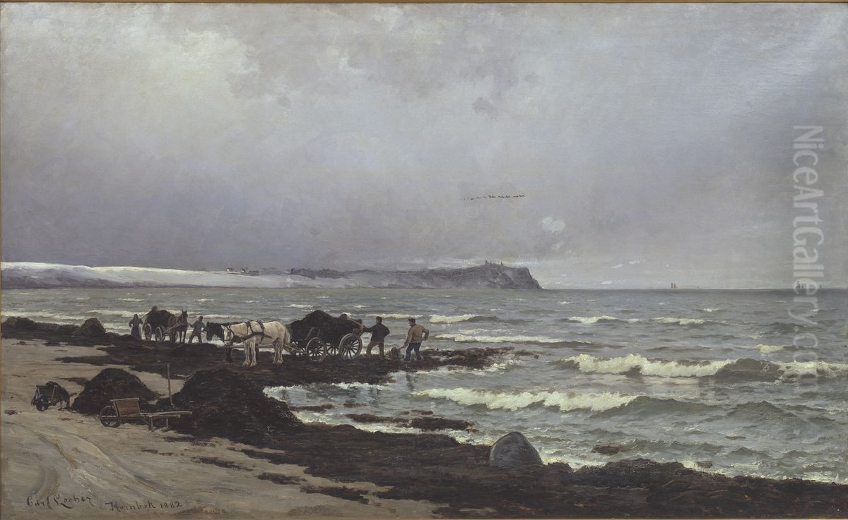 Der laesses tang ved Hornbaek Strand. Oil Painting by Carl Locher