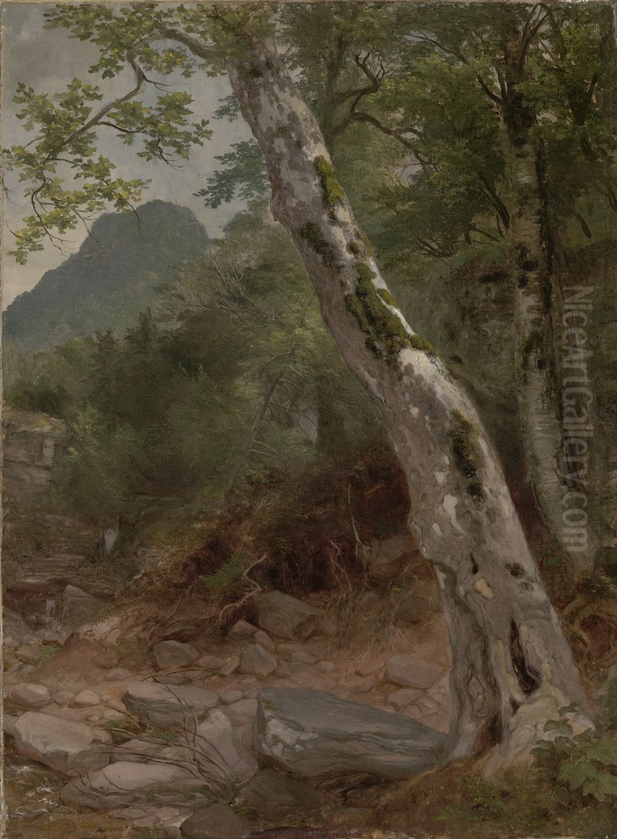 A Sycamore Tree, Plaaterkill Clove (The Sycamore, Kaaterskill Clove) Oil Painting by Asher Brown Durand