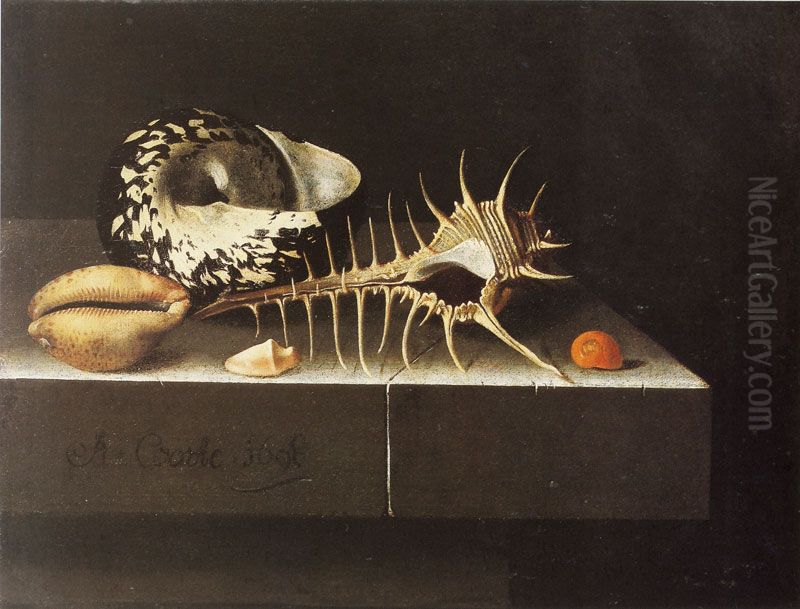 Shells Oil Painting by Adriaen Coorte