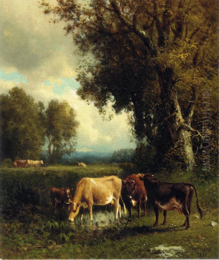 Cows in the Meadow Oil Painting by William Hart