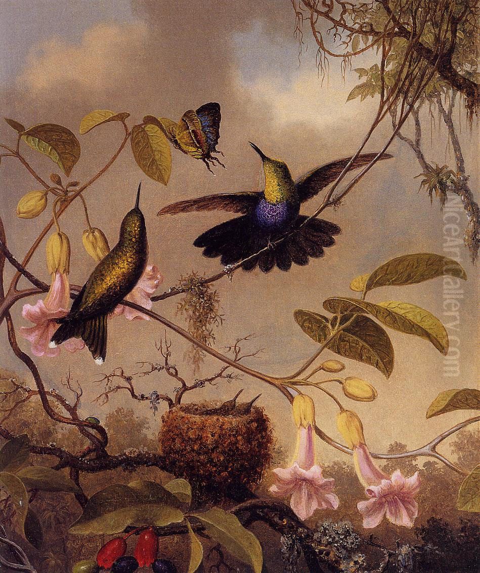 Fort-Tailed WoodnymphThalurania furcata Oil Painting by Martin Johnson Heade