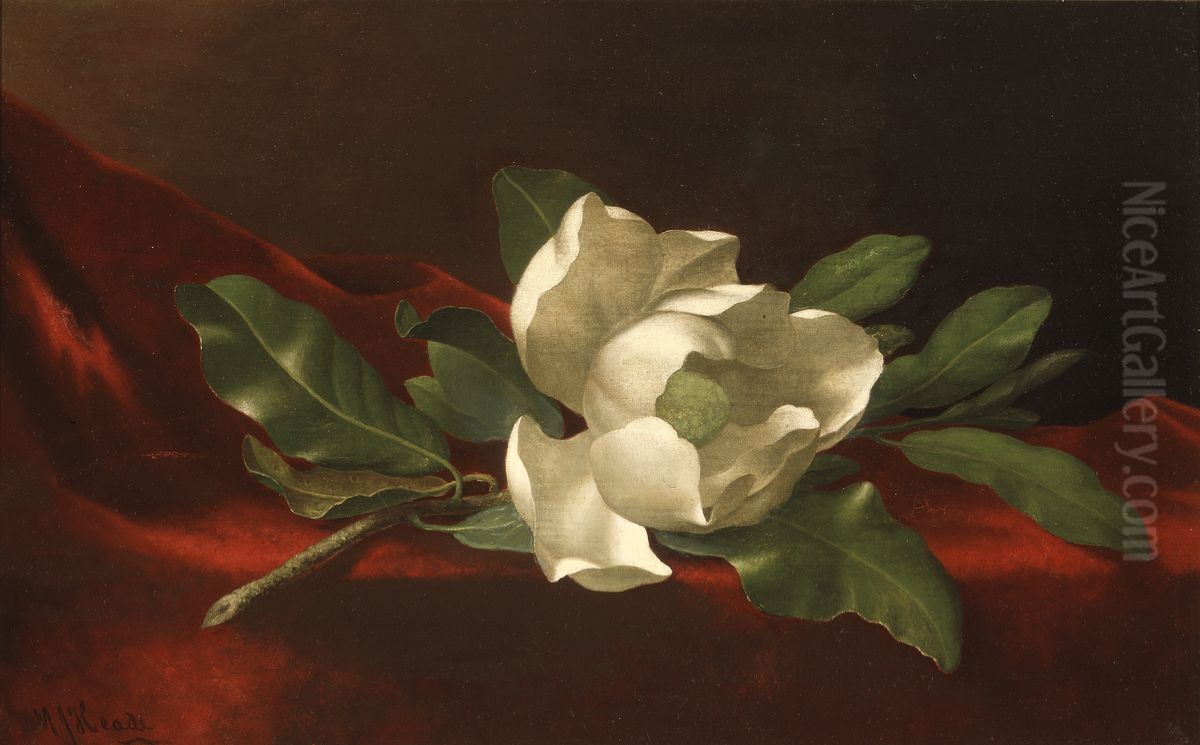 Magnolia Oil Painting by Martin Johnson Heade