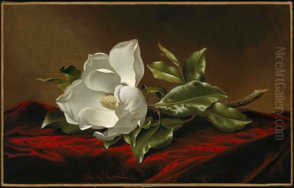 Magnolia Grandiflora Oil Painting by Martin Johnson Heade
