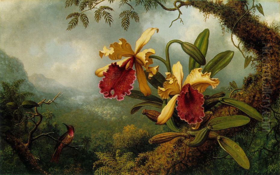 Orchids and Hummingbird Oil Painting by Martin Johnson Heade