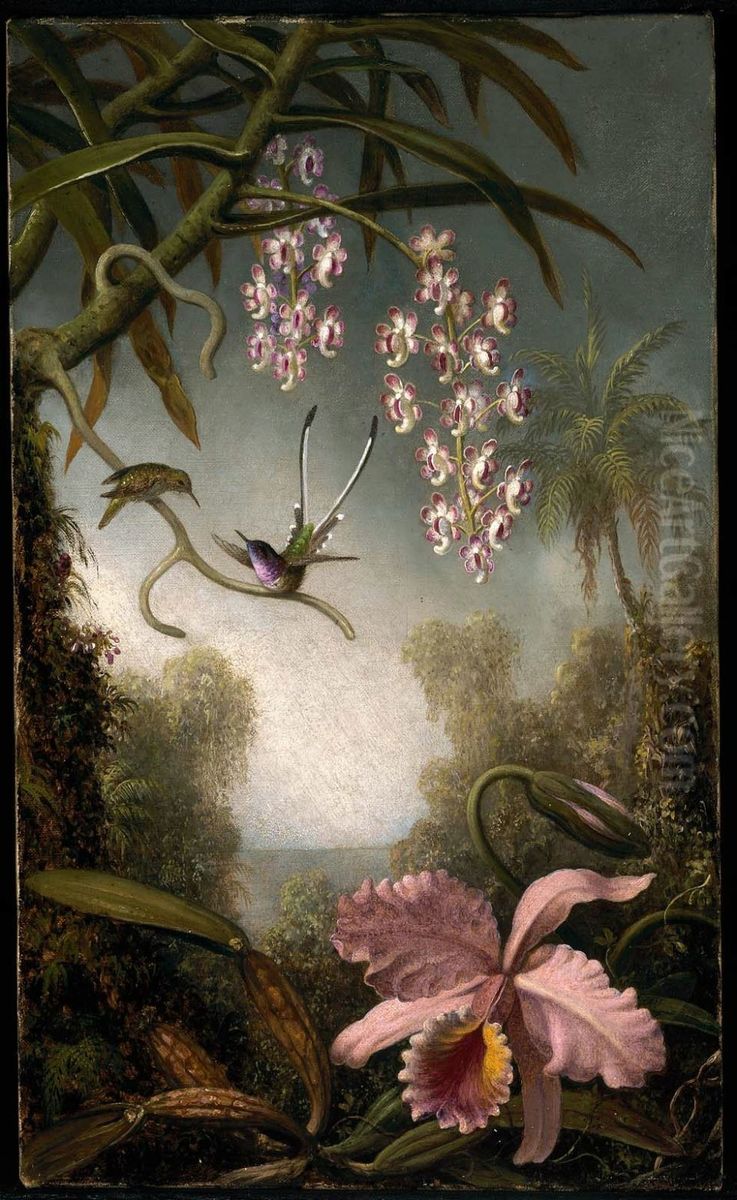 Orchids and Spray Orchids with Hummingbird Oil Painting by Martin Johnson Heade