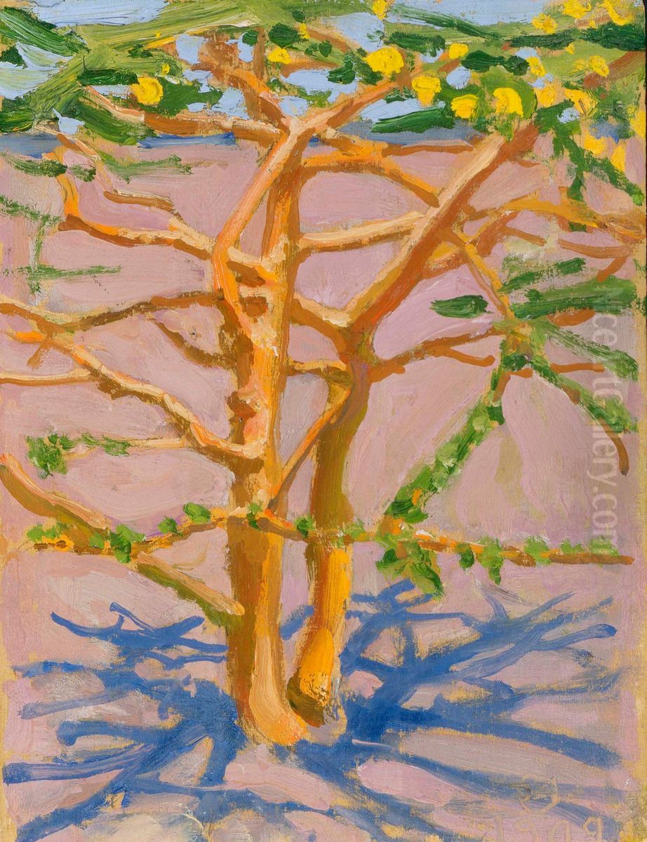 Akasia i sol Oil Painting by Akseli Valdemar Gallen-Kallela