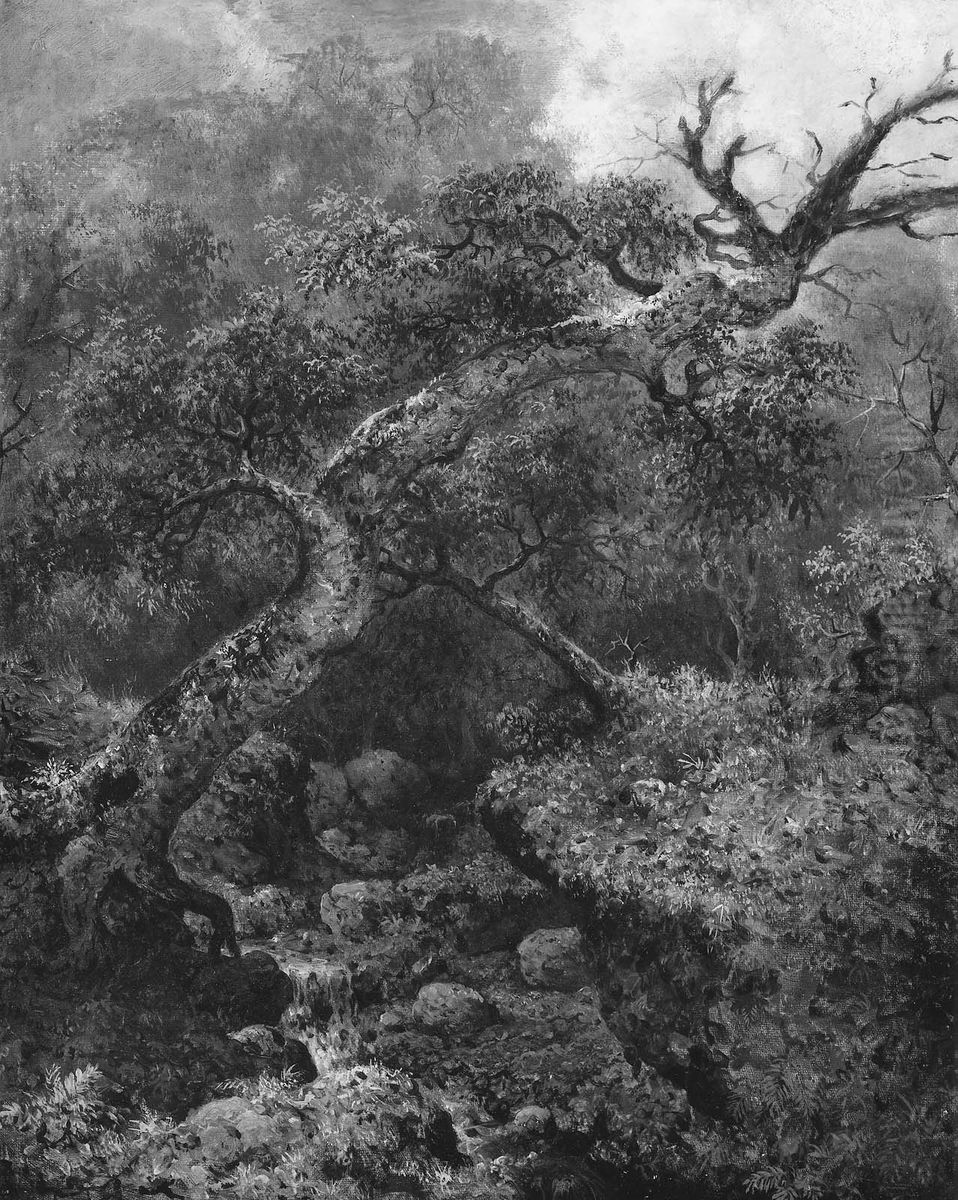 Woodland Sketch Oil Painting by Martin Johnson Heade