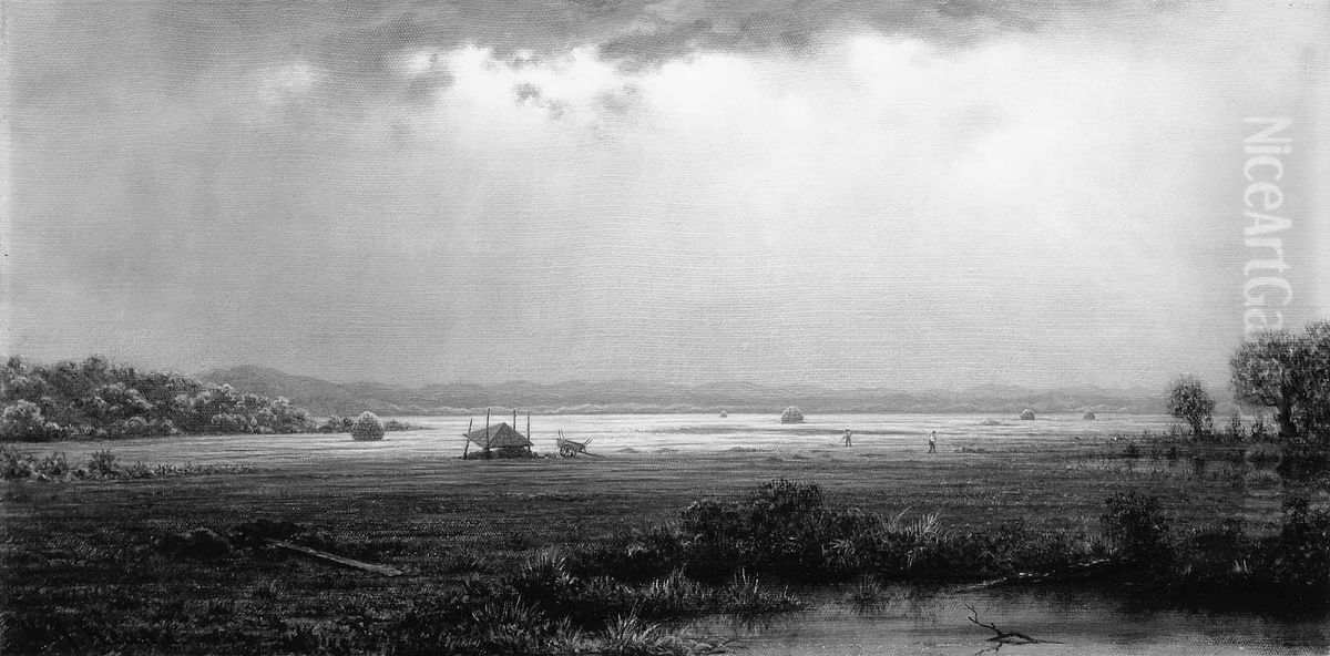 Newburyport Marshes Oil Painting by Martin Johnson Heade