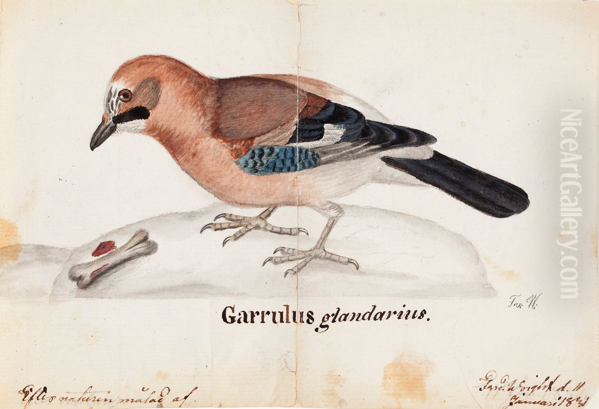 Eurasian Jay Oil Painting by Ferdinand von Wright