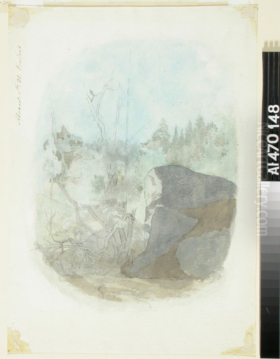 Metsansisusta ja harjoitelma puiden rungoista ; Metsansisusta, edessa oikealla iso kivi (kaksipuolinen teos) Oil Painting by Werner Holmberg