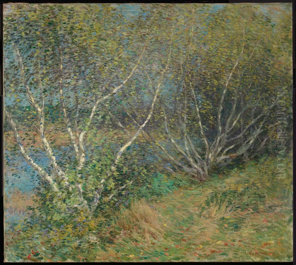 The Birches Oil Painting by Willard Metcalf