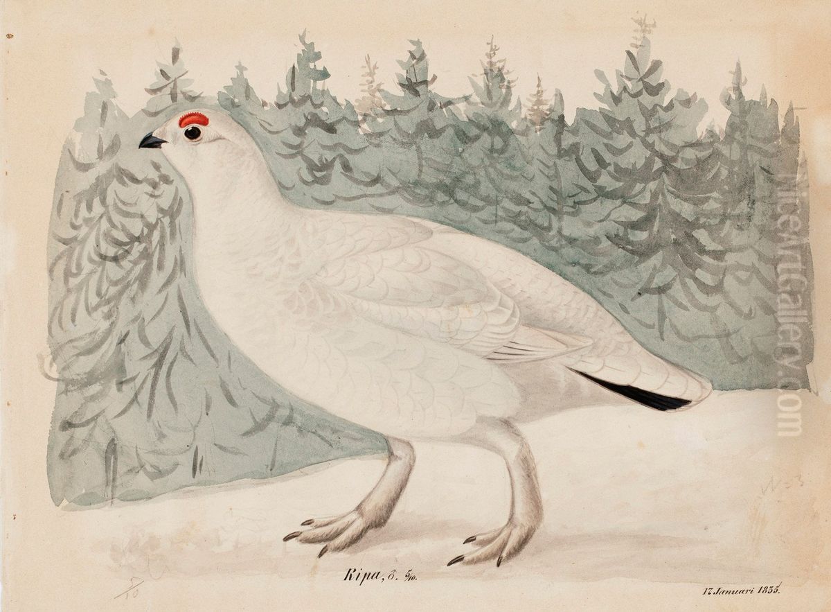 Willow Ptarmigan Oil Painting by Magnus Von Wright