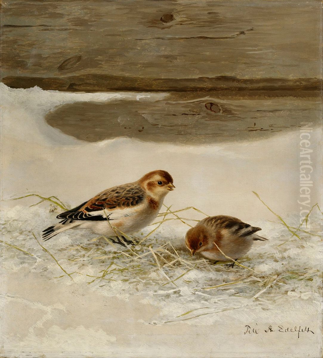 Snow Buntings Oil Painting by Ferdinand von Wright