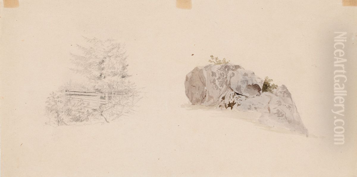 vasemmalla kuusi aidan vieressa, oikealla kivilohkare Oil Painting by Werner Holmberg