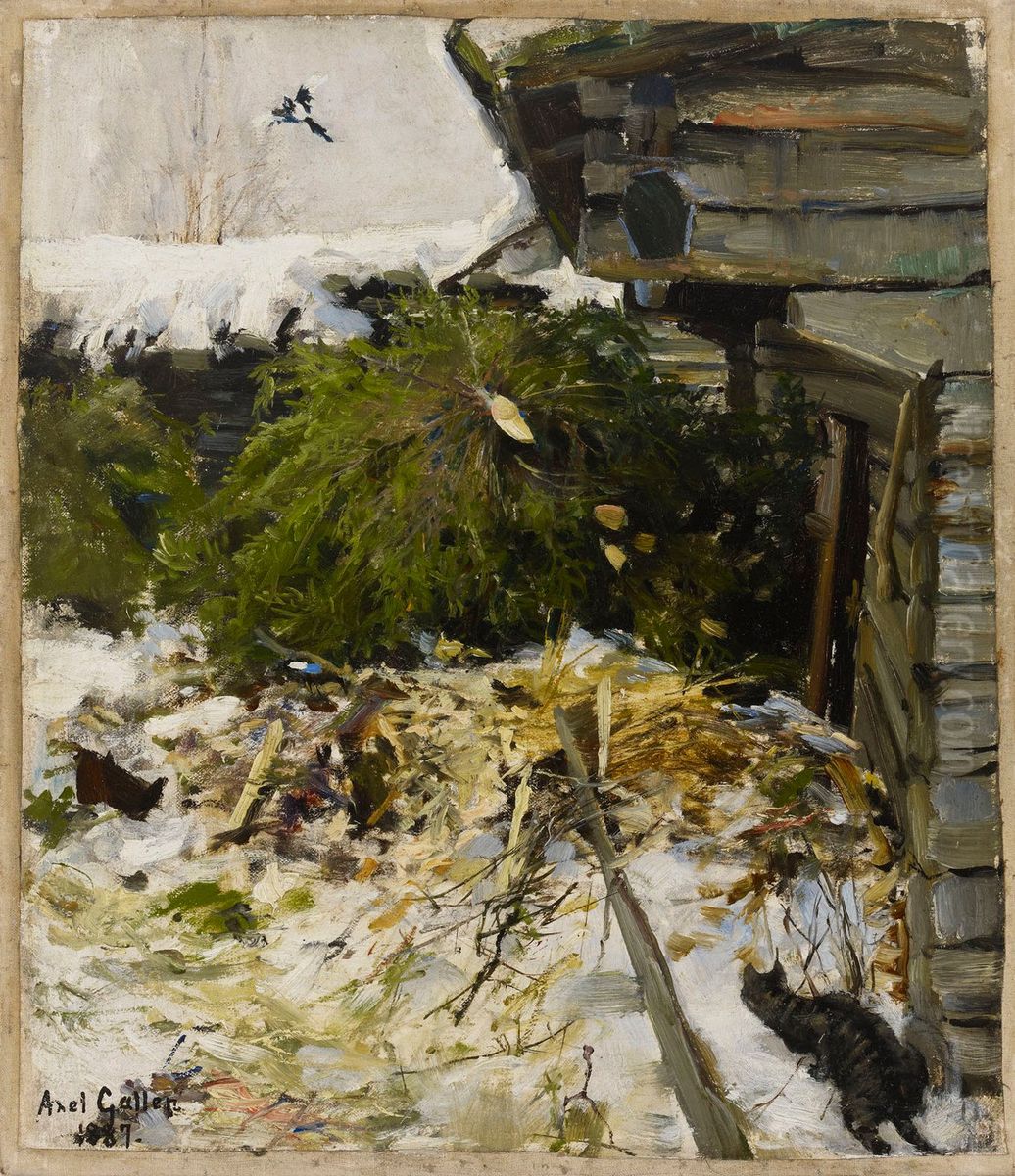 Spruces in a Farmyard Oil Painting by Akseli Valdemar Gallen-Kallela