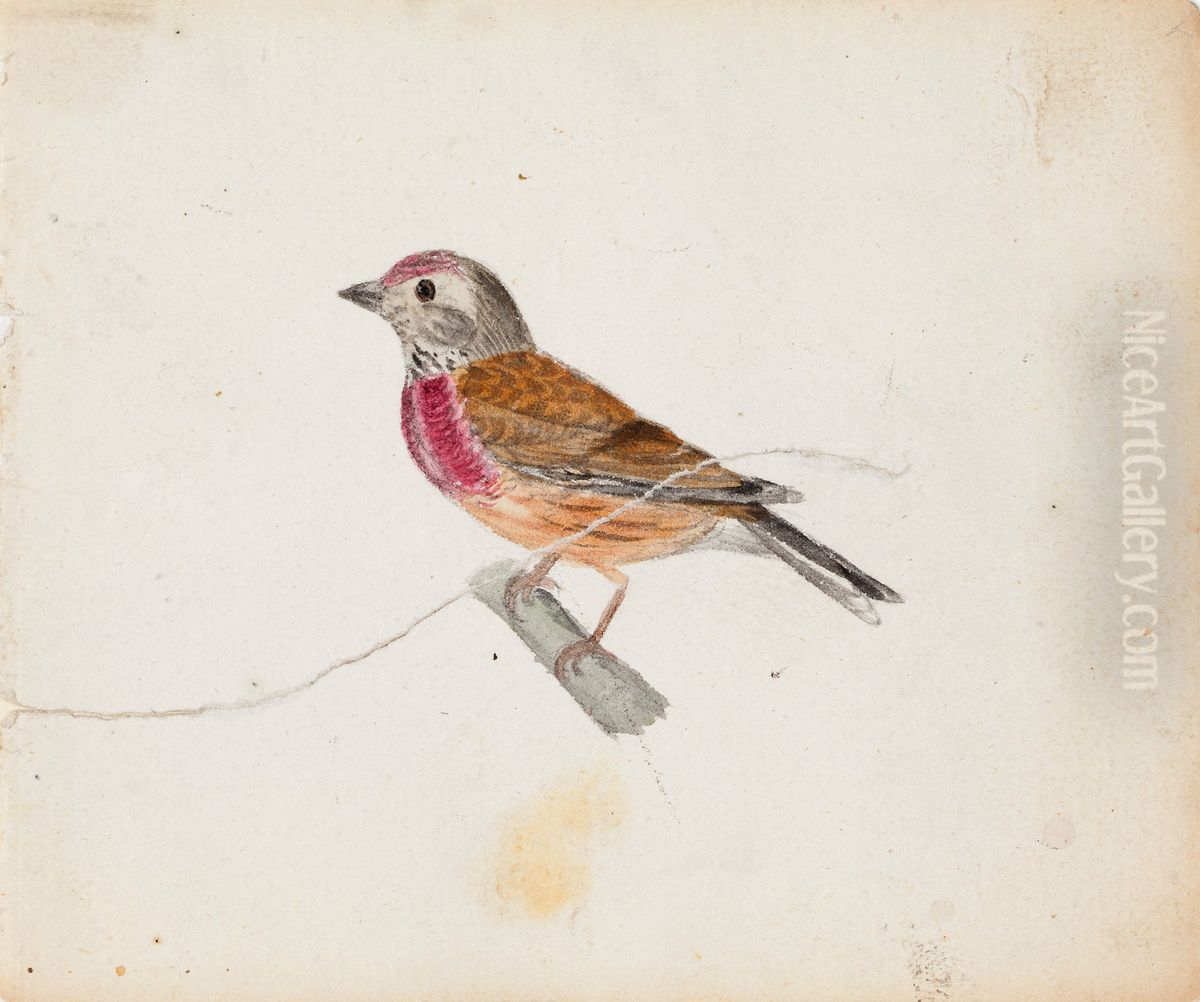 European Robin (?) Oil Painting by Ferdinand von Wright