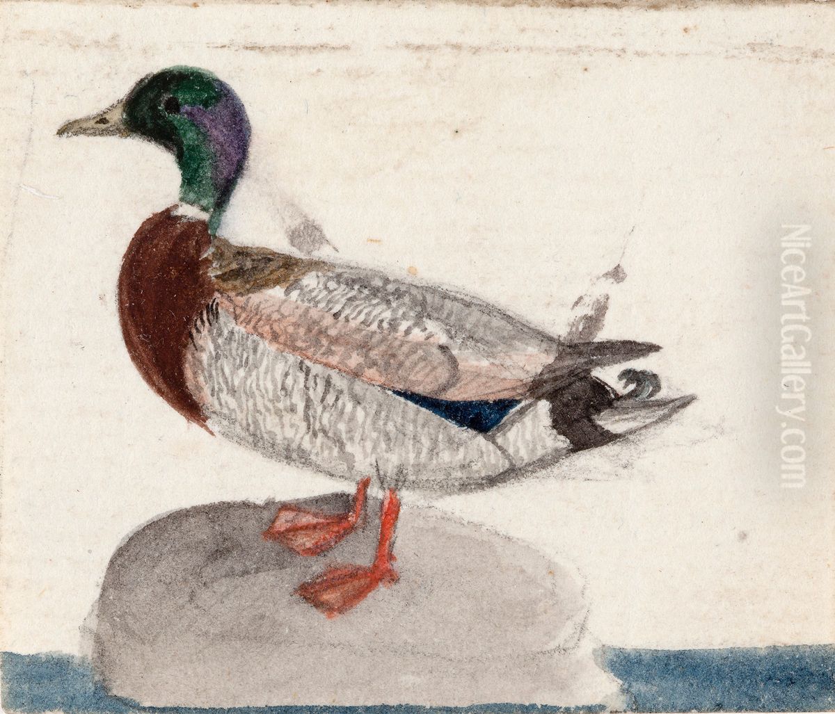 Mallard Oil Painting by Ferdinand von Wright
