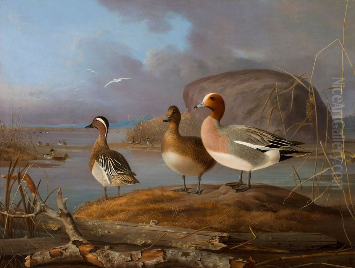 Pair of Wigeons and a Male Teal Oil Painting by Magnus Von Wright
