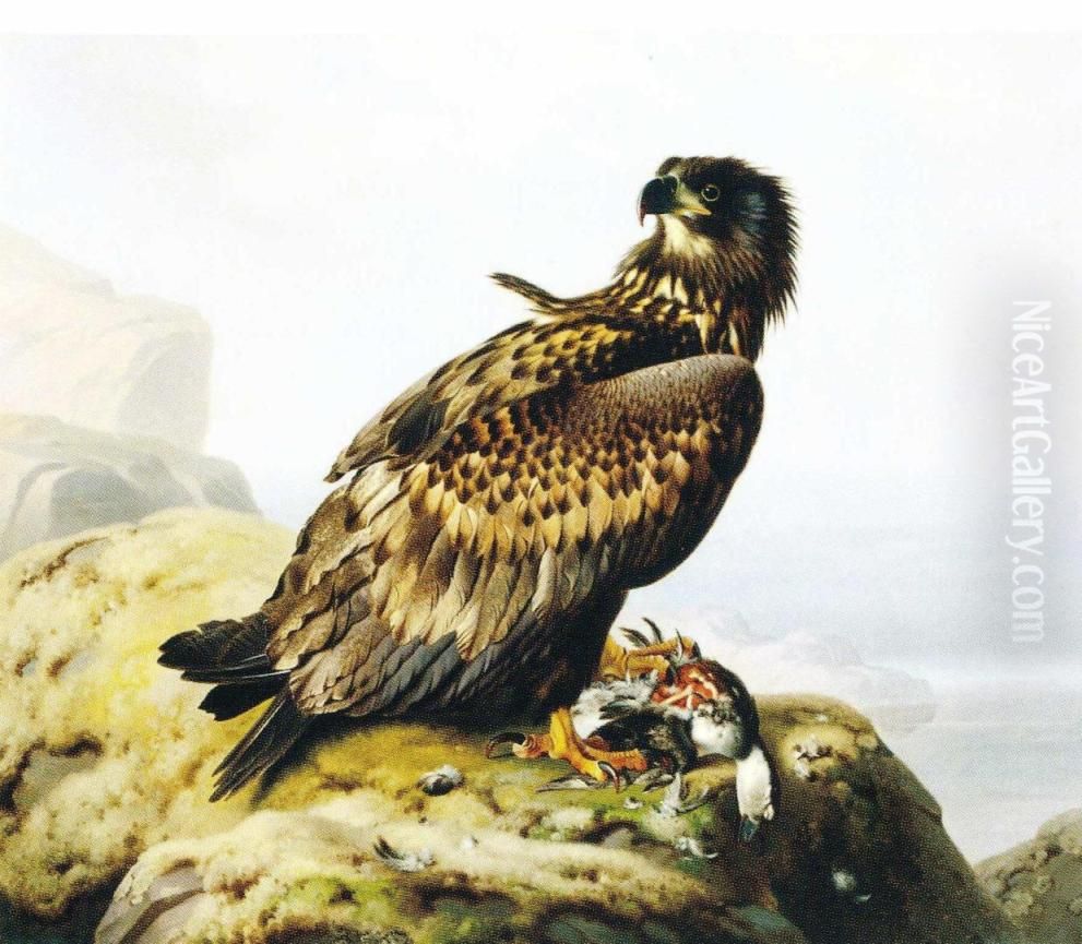 Merikotka kalliolla Oil Painting by Ferdinand von Wright