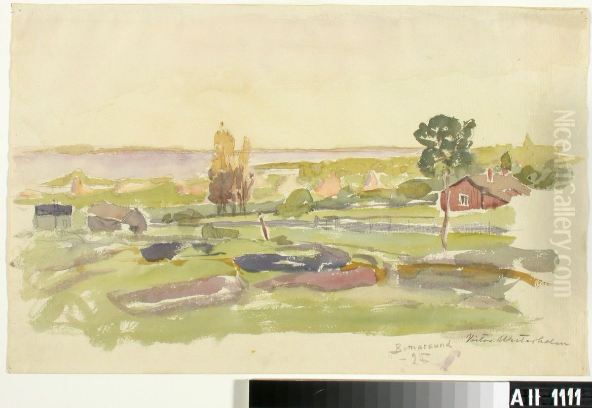 Landscape Study from Bomarsund Oil Painting by Victor Westerholm