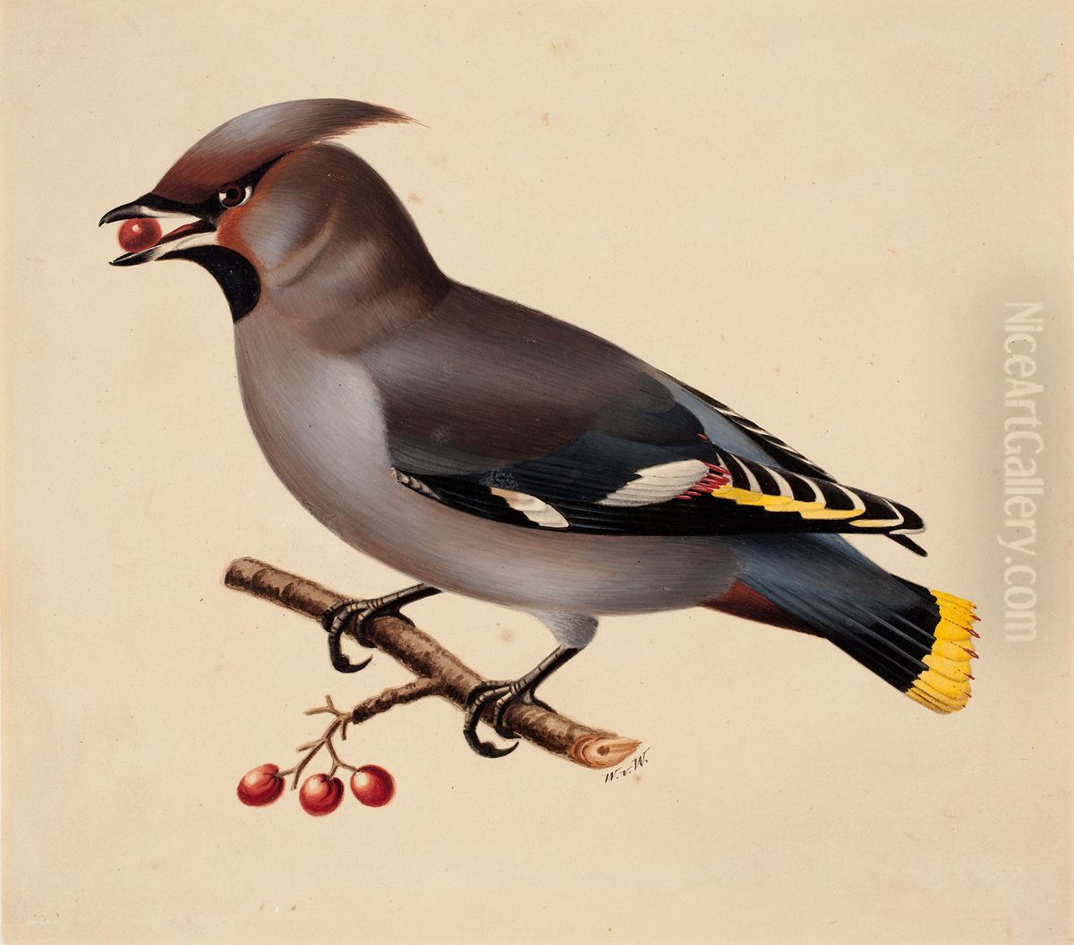Bohemian Waxwing Oil Painting by Wilhelm Von Wright
