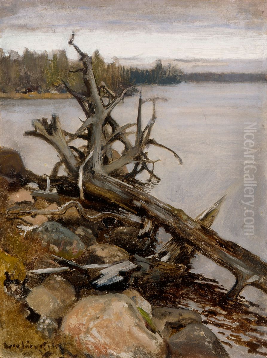 Strand med ilanddriven torr fure Oil Painting by Eero Jarnefelt