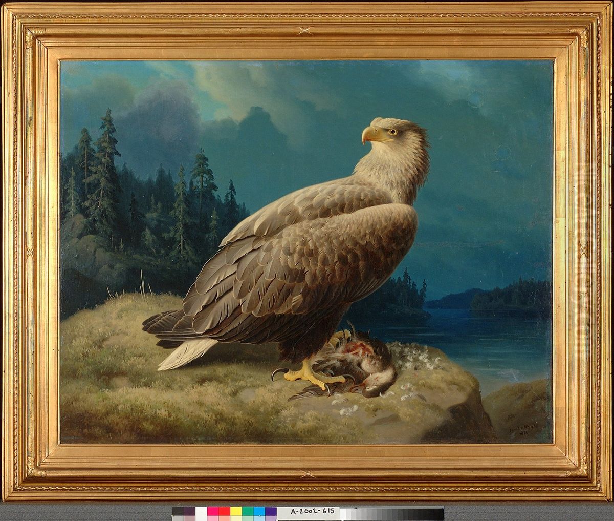 Old White-Tailed Sea Eagle Oil Painting by Ferdinand von Wright