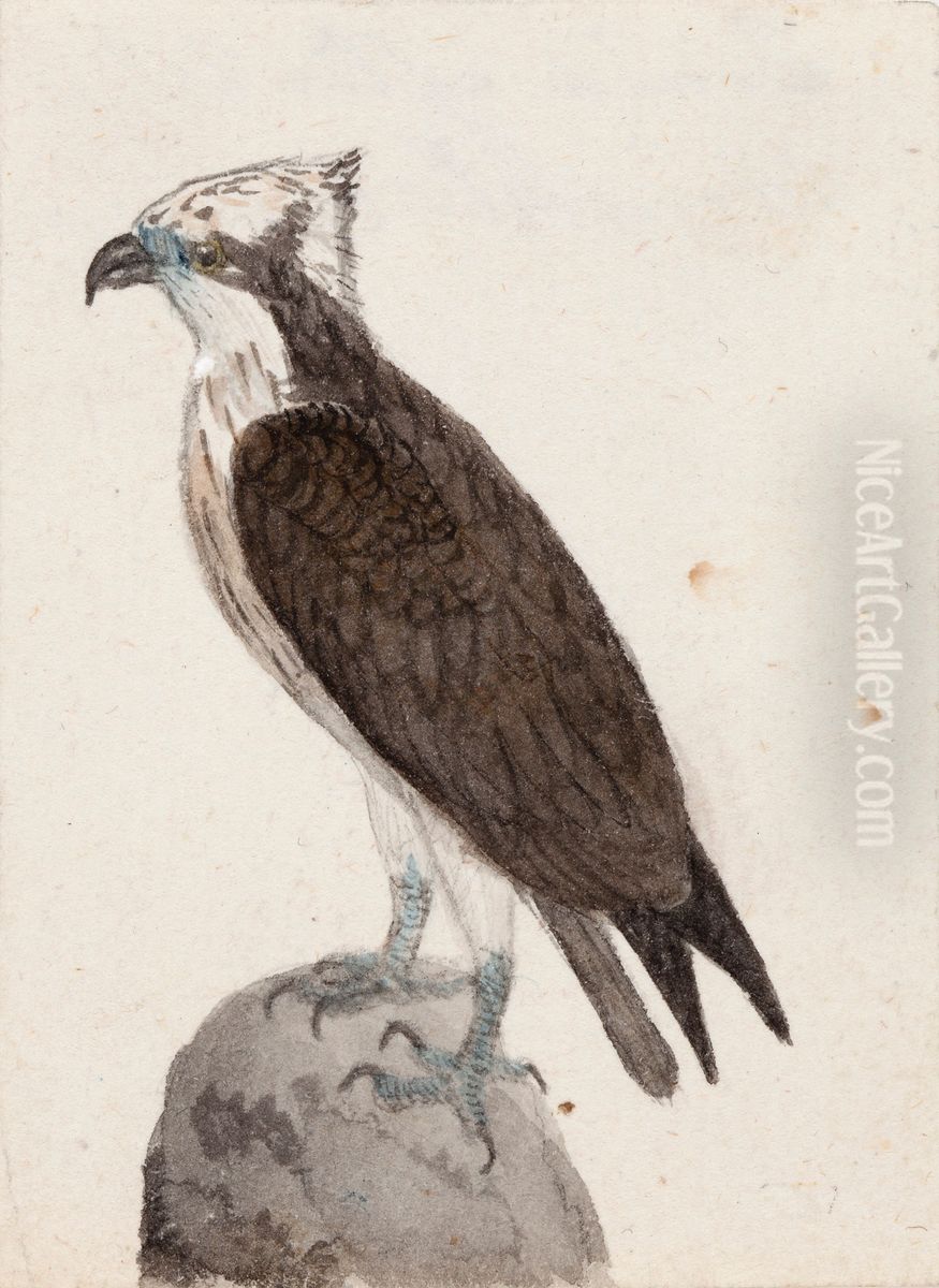 Osprey Oil Painting by Ferdinand von Wright