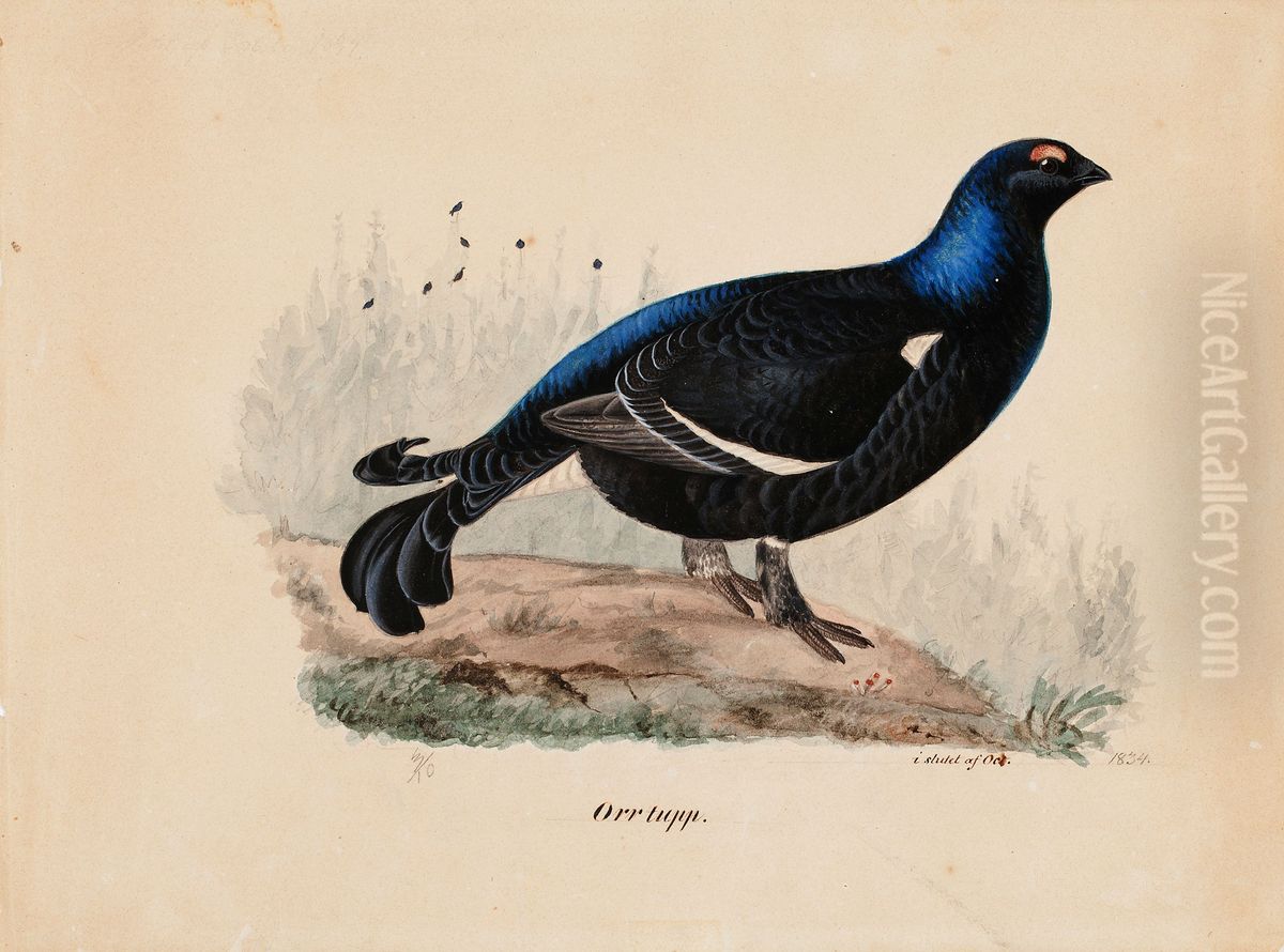 Black Grouse Oil Painting by Ferdinand von Wright