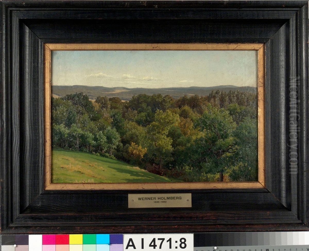 Nakoala vuorelta, harjoitelma Oil Painting by Werner Holmberg