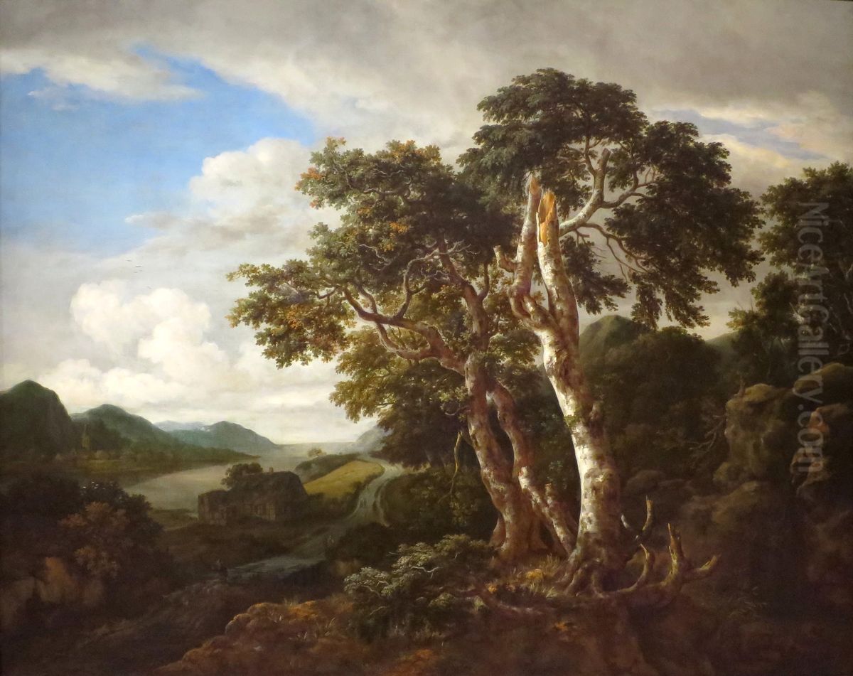 Hilly landscape with several large oaks Oil Painting by Jacob Van Ruisdael