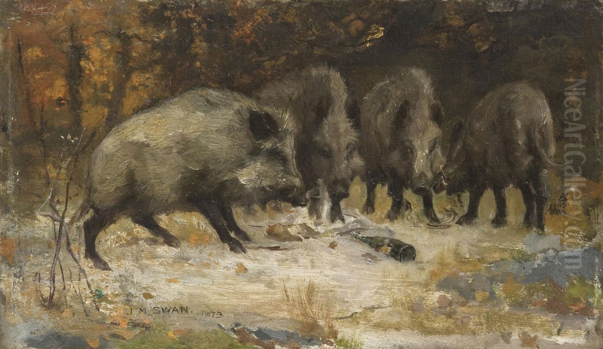 Wild Boars Oil Painting by John Macallan Swan