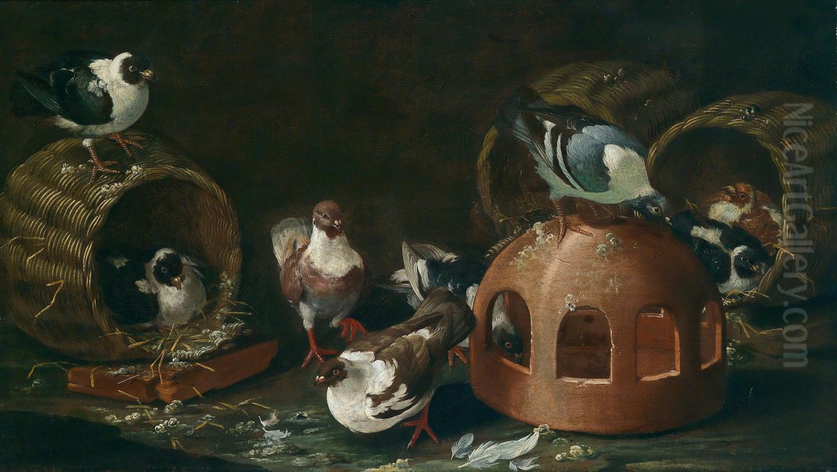 Natura Morta Con Canestri E Piccioni Oil Painting by Giovanni Agostino Cassana