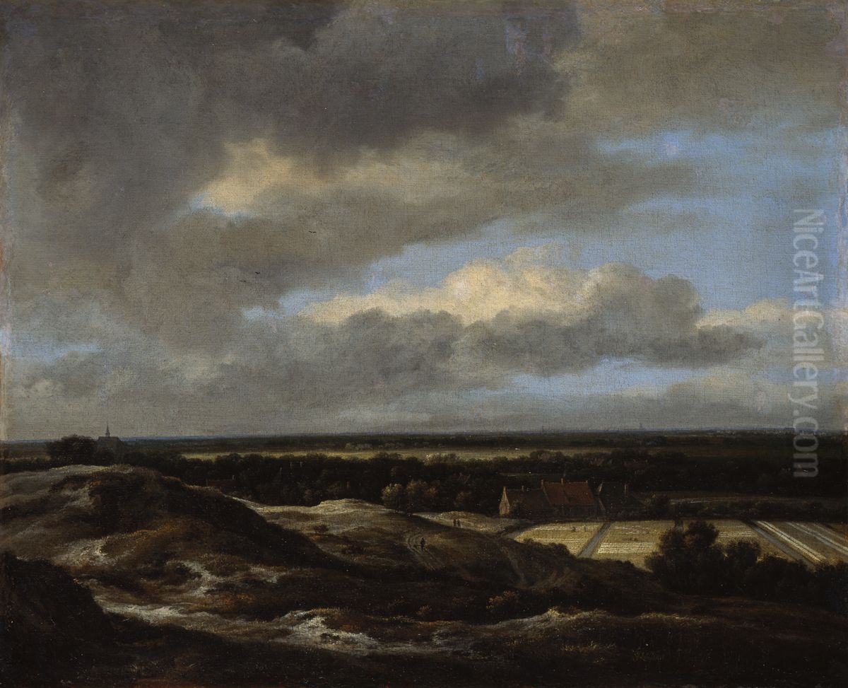 Haarlem von den Dunen im Nordwesten gesehen Oil Painting by Jacob Van Ruisdael