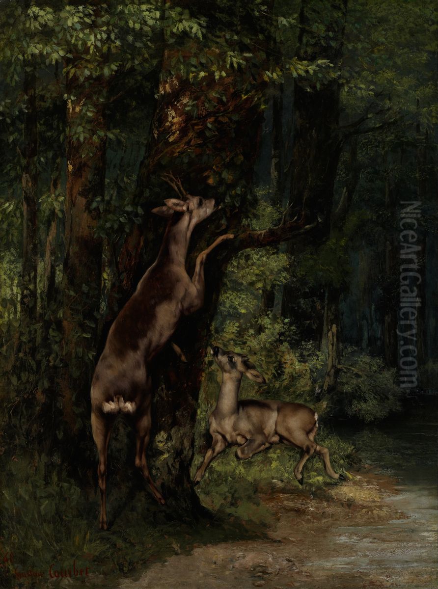 Deer in the Forest Oil Painting by Gustave Courbet
