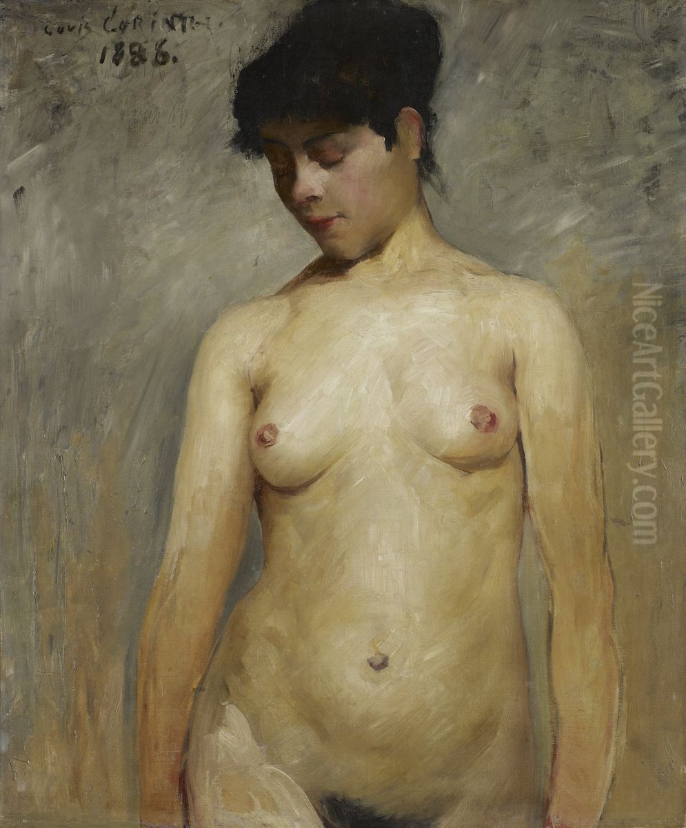 Nude Girl (a study) Oil Painting by Lovis (Franz Heinrich Louis) Corinth