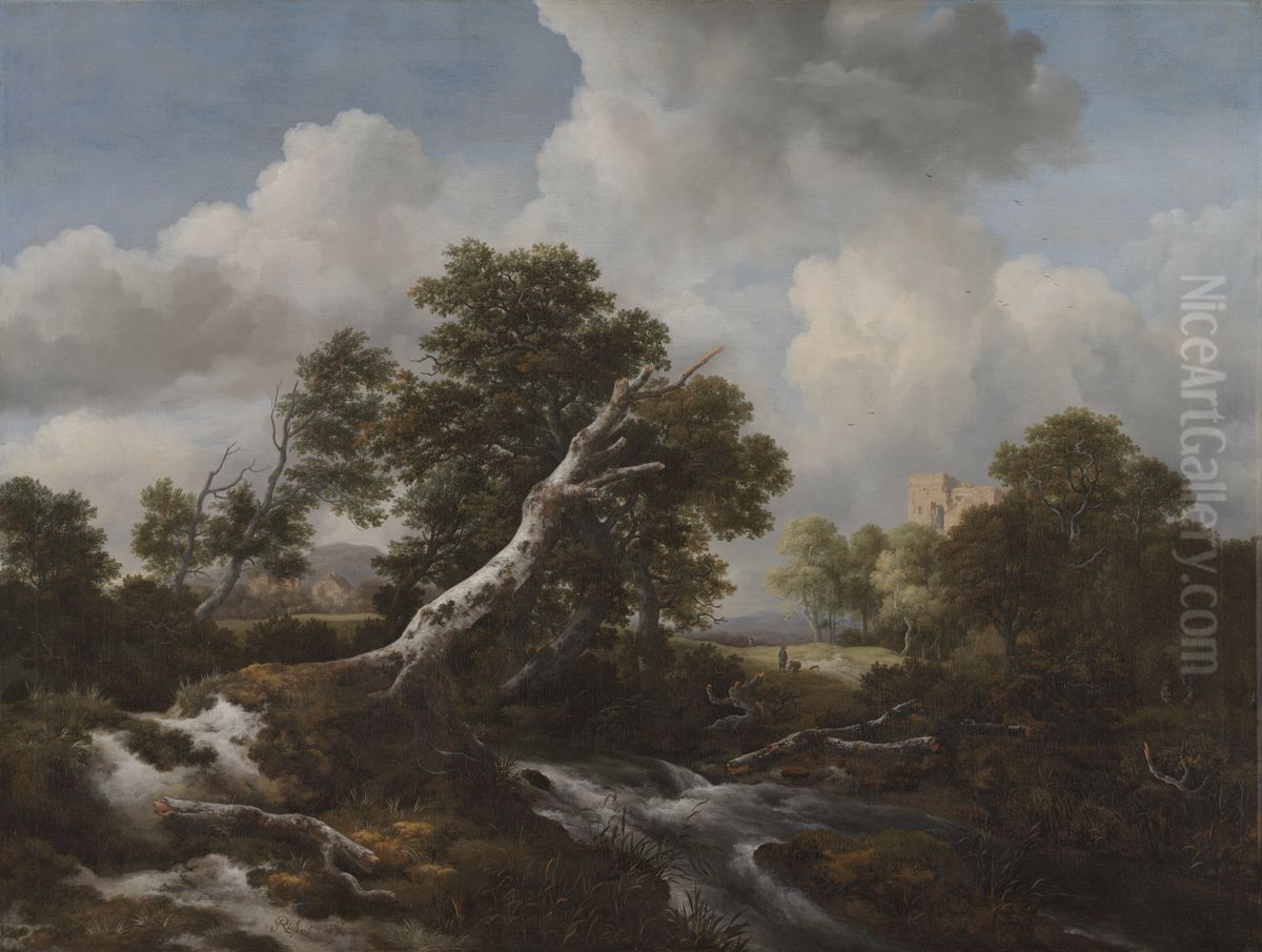 Low Waterfall in a Wooded Landscape with a Dead Beech Tree Oil Painting by Jacob Van Ruisdael