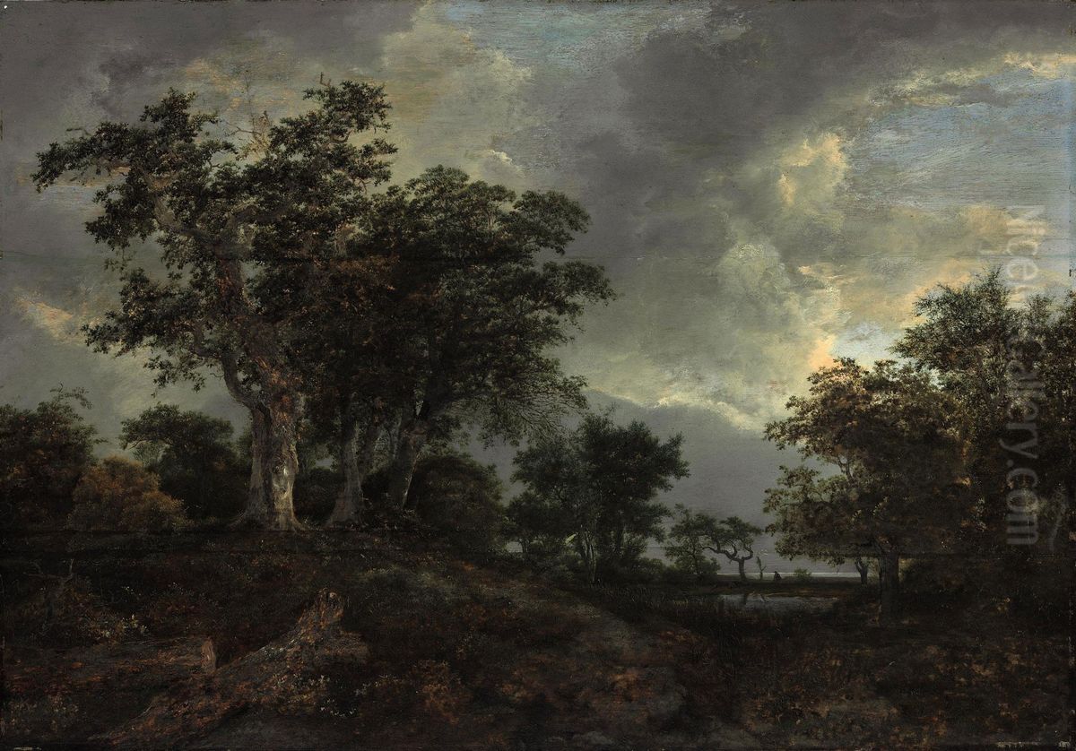 Wooded Landscape with a Pond Oil Painting by Jacob Van Ruisdael