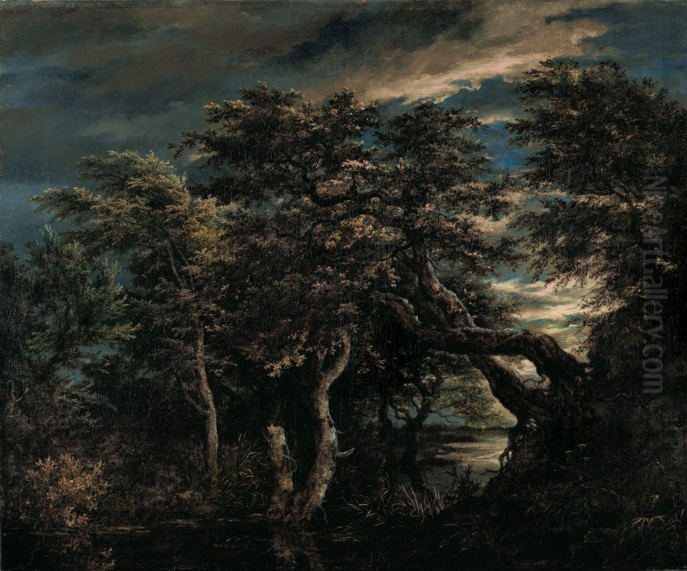 Een moeras in een woud in de schemering Oil Painting by Jacob Van Ruisdael
